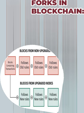 Crypto forks