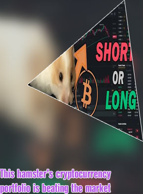 Where to buy hamster crypto